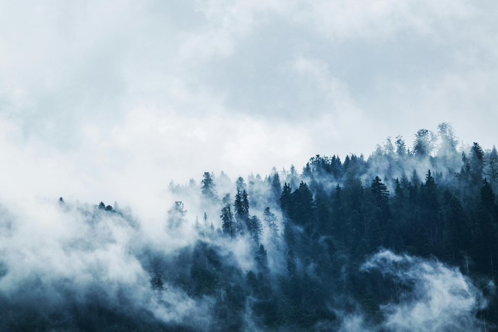 Thumbnail fog4